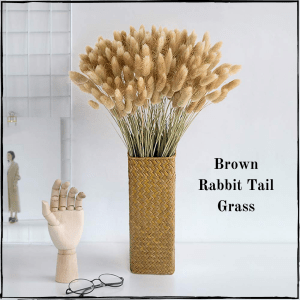 Brown Rabbit Tail Bunch