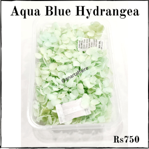Aqua Blue Hydrangea